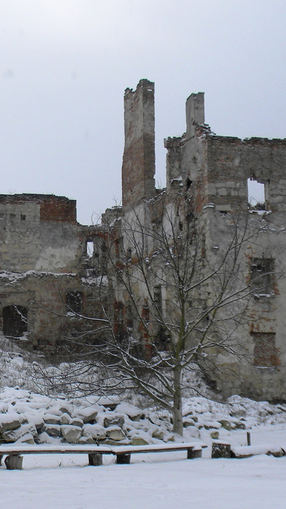 Бережанський замок